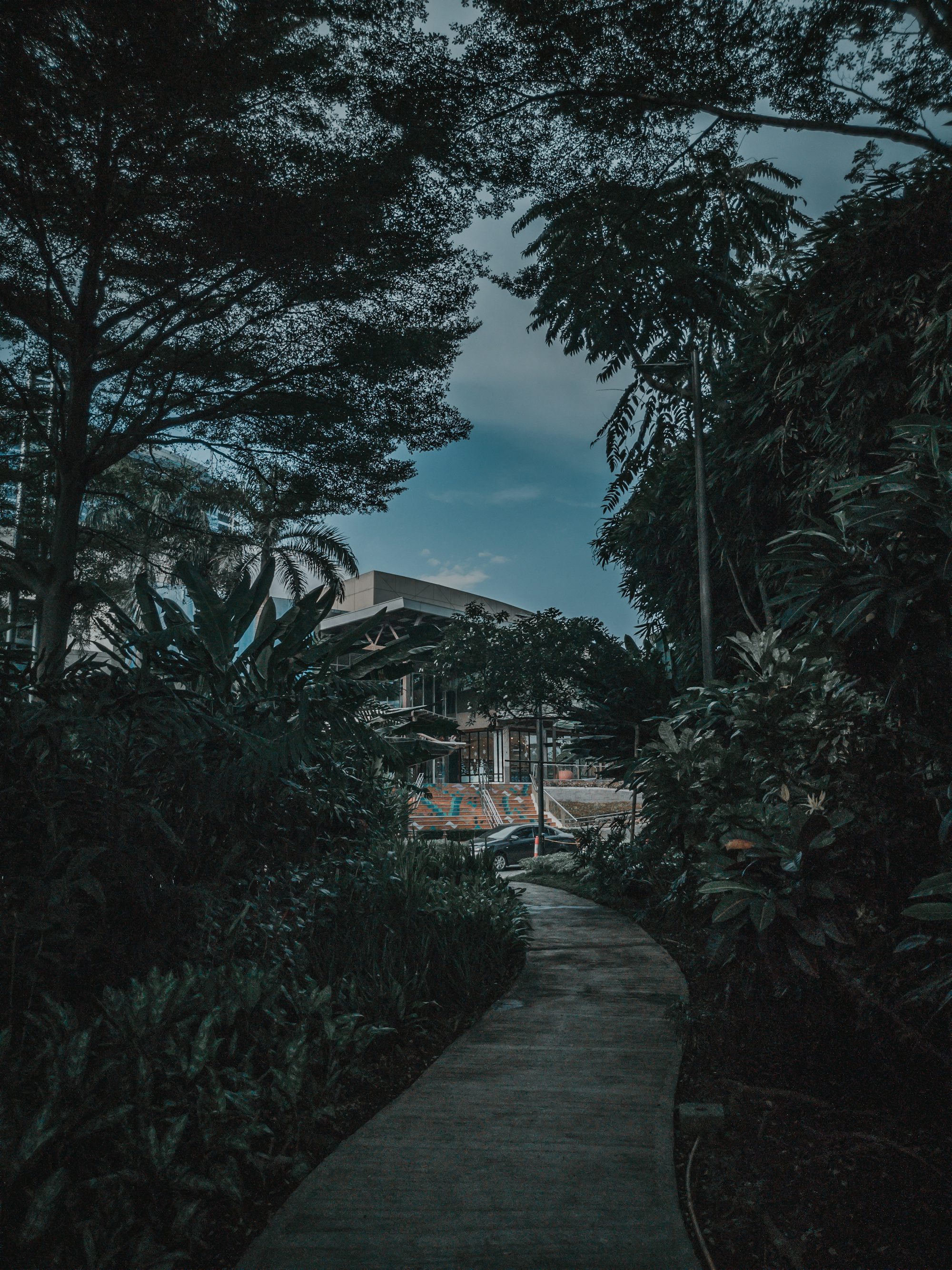 gray concrete pathway viewing high-rise building surrounded with green trees under blue and white sky